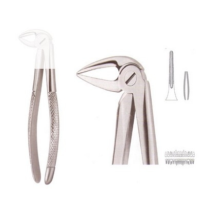 Extracting Forceps